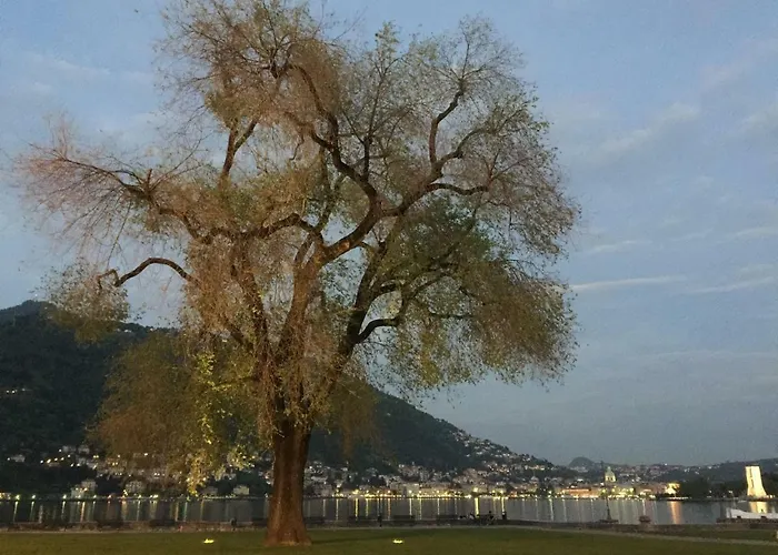 Iris 2 Di Apartman *