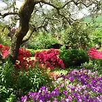 Апартаменты Iris 2 Di Донго