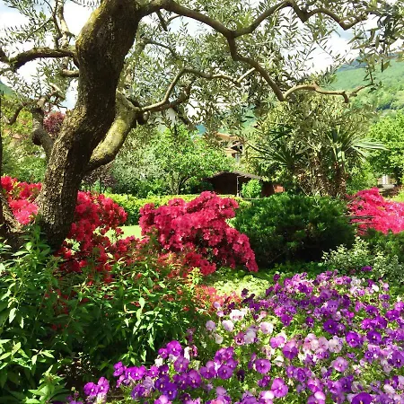 Διαμέρισμα Iris 2 Di Dongo