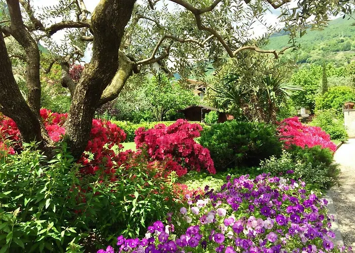 アパート Iris 2 Di ドンゴ